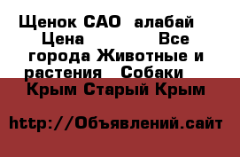 Щенок САО (алабай) › Цена ­ 10 000 - Все города Животные и растения » Собаки   . Крым,Старый Крым